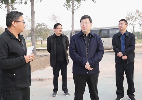 温县县委书记毛文明调研黄河生态保护工作
