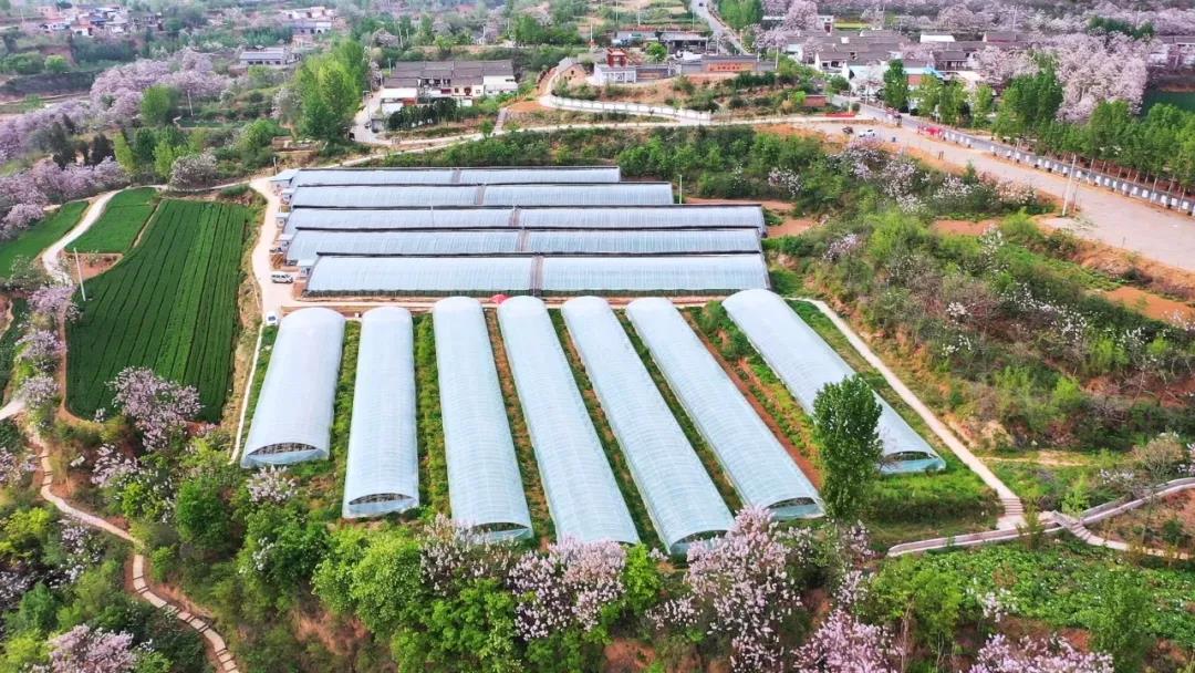 孟州市源沟村的美丽蜕变从整村脱贫到乡村振兴新样板